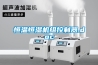 恒溫恒濕機組控制器.doc