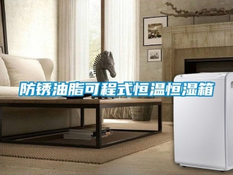 知識百科防銹油脂可程式恒溫恒濕箱