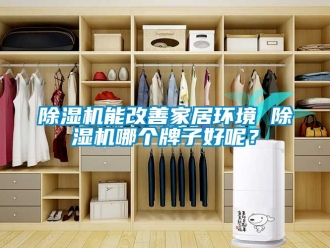 行業(yè)新聞除濕機能改善家居環(huán)境 除濕機哪個牌子好呢？