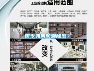 常見問(wèn)題雨季如何防潮除濕？