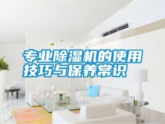 知識(shí)百科專業(yè)除濕機(jī)的使用技巧與保養(yǎng)常識(shí)