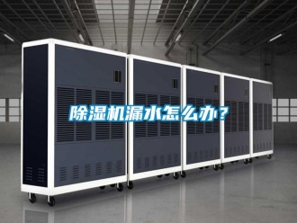 行業(yè)新聞除濕機漏水怎么辦？