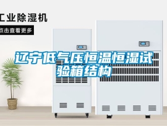 知識(shí)百科遼寧低氣壓恒溫恒濕試驗(yàn)箱結(jié)構(gòu)