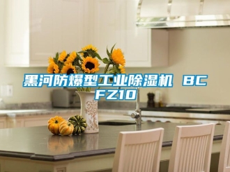 企業新聞黑河防爆型工業除濕機 BCFZ10