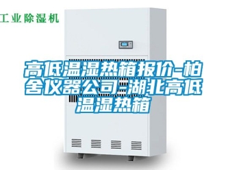 常見問題高低溫濕熱箱報價-柏舍儀器公司-湖北高低溫濕熱箱