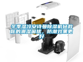 企業新聞冬季濕冷安詩曼除濕機拯救你的潮濕困擾，防潮效果更好