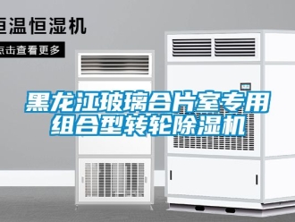 常見問題黑龍江玻璃合片室專用組合型轉輪除濕機