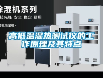 常見問題高低溫濕熱測試儀的工作原理及其特點