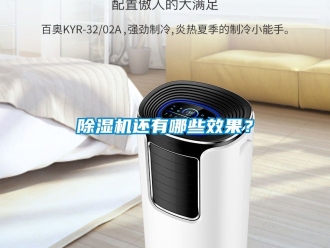 行業(yè)新聞除濕機(jī)還有哪些效果？
