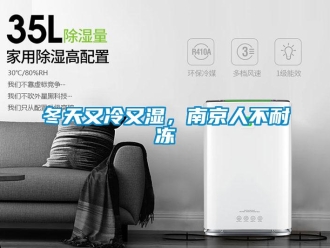 企業新聞冬天又冷又濕，南京人不耐凍