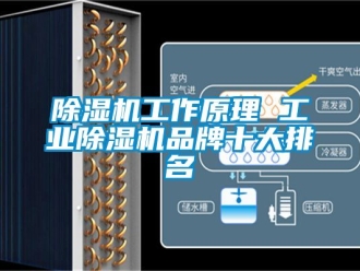 常見問題除濕機工作原理 工業(yè)除濕機品牌十大排名