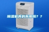 除濕機真的有用嗎？？