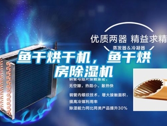 行業(yè)新聞魚干烘干機，魚干烘房除濕機