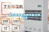 轉輪除濕機為何不能正常啟動