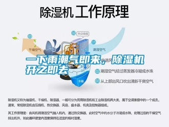 知識百科一下雨潮氣即來，除濕機開之即去