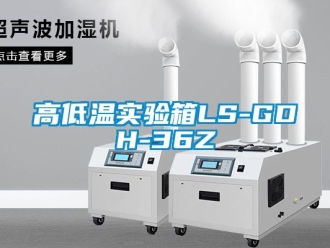 常見問題高低溫實驗箱LS-GDH-36Z