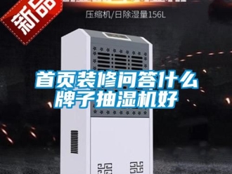 企業新聞首頁裝修問答什么牌子抽濕機好