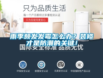常見問題雨季頻發發霉怎么辦？裝修才是防潮的關鍵！
