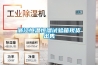 浙江恒溫恒濕試驗箱現貨出售