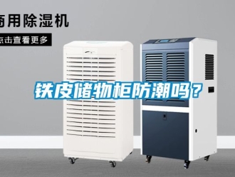 常見問題鐵皮儲物柜防潮嗎？
