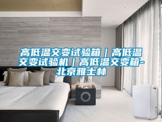 常見問題高低溫交變試驗(yàn)箱｜高低溫交變試驗(yàn)機(jī)｜高低溫交變箱-北京雅士林