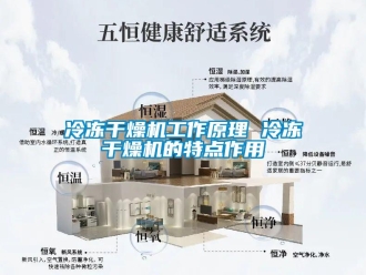 行業新聞冷凍干燥機工作原理 冷凍干燥機的特點作用