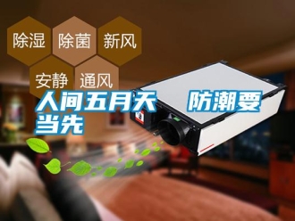 行業新聞人間五月天  防潮要當先
