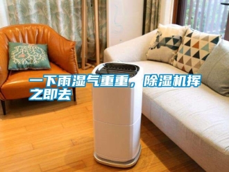 知識百科一下雨濕氣重重，除濕機揮之即去