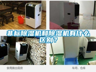 行業(yè)新聞非標(biāo)除濕機(jī)和除濕機(jī)有什么區(qū)別？