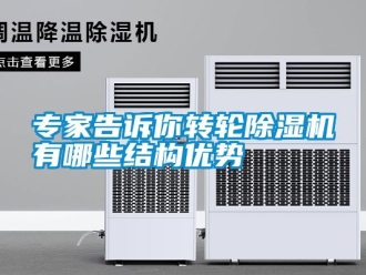知識(shí)百科專家告訴你轉(zhuǎn)輪除濕機(jī)有哪些結(jié)構(gòu)優(yōu)勢