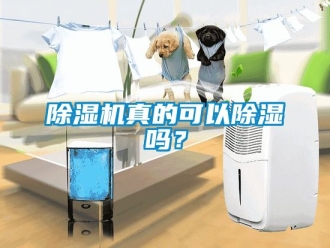 行業(yè)新聞除濕機(jī)真的可以除濕嗎？
