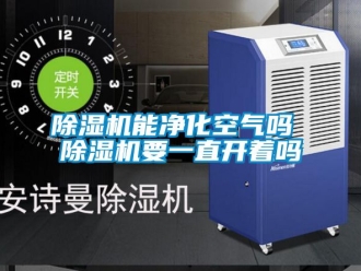 行業(yè)新聞除濕機(jī)能凈化空氣嗎 除濕機(jī)要一直開著嗎