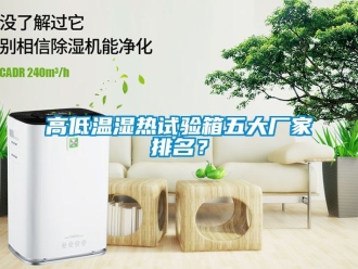 常見問題高低溫濕熱試驗箱五大廠家排名？