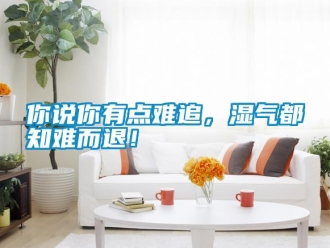 行業新聞你說你有點難追，濕氣都知難而退！