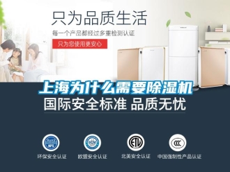 知識百科上海為什么需要除濕機