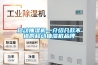 移動抽濕機—介紹幾款不錯的移動抽濕機品牌