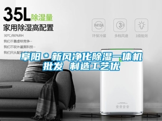 常見問題阜陽＊新風(fēng)凈化除濕一體機(jī)批發(fā) 制造工藝優(yōu)