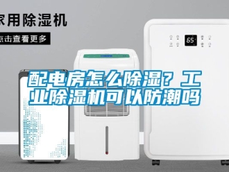 常見問題配電房怎么除濕？工業(yè)除濕機(jī)可以防潮嗎