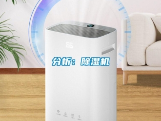 企業新聞分析：除濕機