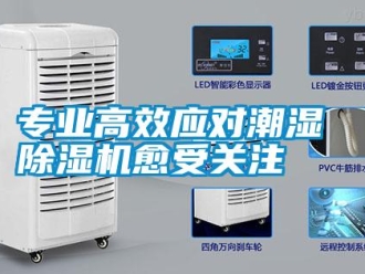 知識(shí)百科專業(yè)高效應(yīng)對潮濕 除濕機(jī)愈受關(guān)注