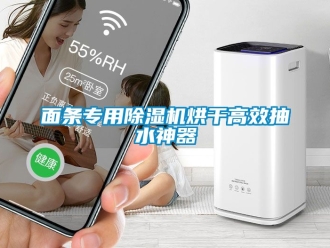 行業(yè)新聞面條專用除濕機(jī)烘干高效抽水神器