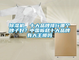 企業(yè)新聞除濕機(jī)，十大品牌排行哪個(gè)牌子好？中國板材十大品牌有大王椰嗎