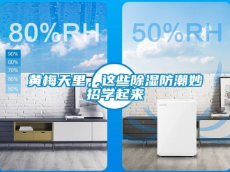 常見問題黃梅天里，這些除濕防潮妙招學起來