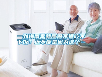 知識百科一到梅雨季就腸胃不適吃不下飯？還不都是因為這個…