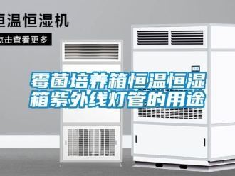 知識百科霉菌培養箱恒溫恒濕箱紫外線燈管的用途