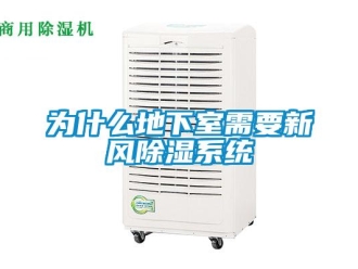 知識百科為什么地下室需要新風除濕系統