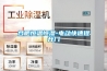 合肥恒溫恒濕-電動快速提升門