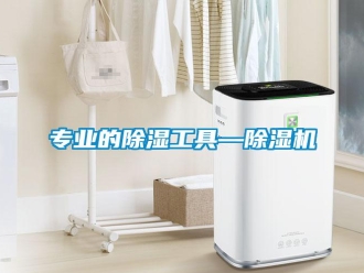 知識(shí)百科專業(yè)的除濕工具—除濕機(jī)