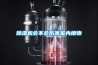 除濕機會不會傷害室內植物