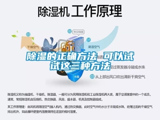 企業新聞除濕的正確方法 可以試試這三種方法